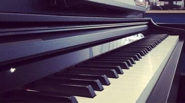 La société Rousseau Musique 